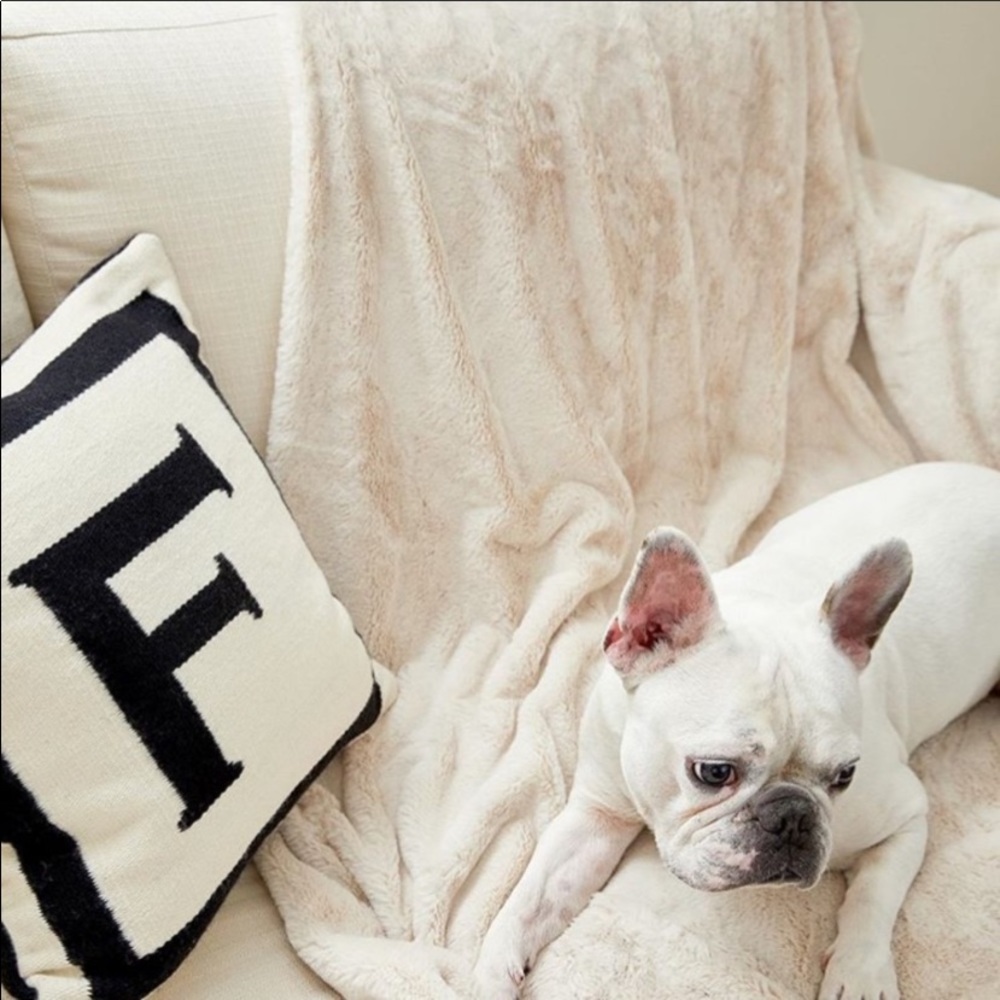 Comfy Throw Blanket NWT!
